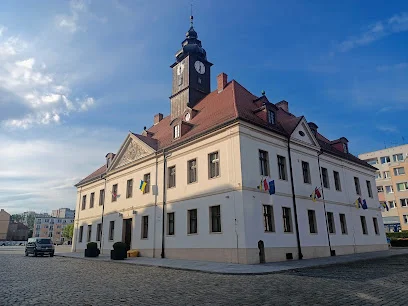 Muzeum Historyczne w Lubinie
